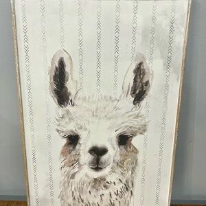 LLAMA PICTURE